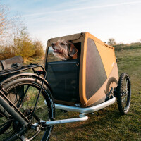 Croozer Dog und Kid Fahrradanhänger